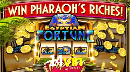 Live Casino 14vin